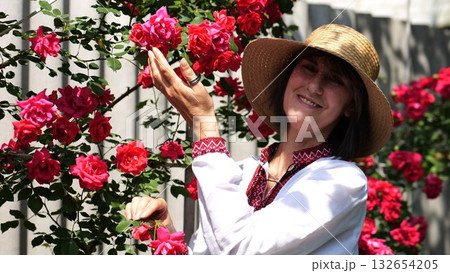 Portrait of adult smiling woman wearing a traditional ukrainian vyshyvanka among blooming red roses in summer garden. This scene expresses femininity, cultural heritage and national identity 132654205