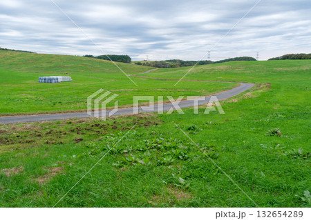 牧場の牧草地 牧場の牧草地 132654289