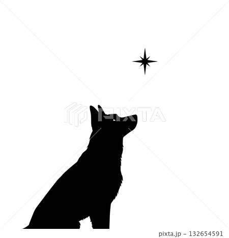 Light of Revelation Light of Revelation 132654591