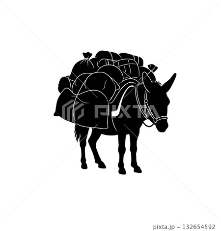 Light of Revelation 132654592