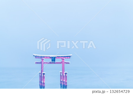 滋賀 白鬚神社　雪中の湖中大鳥居 132654729