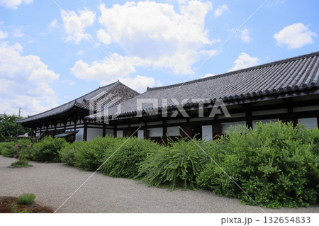 夏 元興寺 禅室 極楽堂 屋根瓦 夏 元興寺 禅室 極楽堂 屋根瓦 132654833