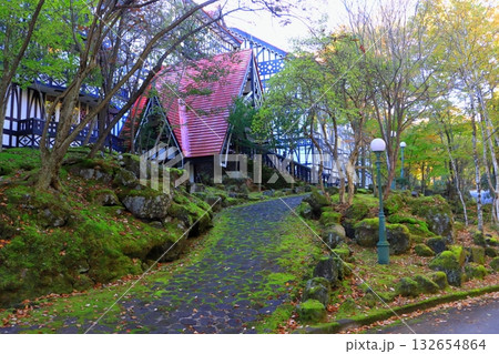 秋のリゾートホテル（北軽井沢） 132654864
