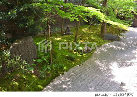 霊源院の庭園 霊源院の庭園 132654970