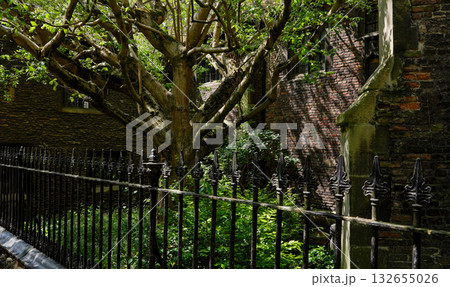 Lush green foliage behind a wrought iron fence in Cambridge, UK 132655026