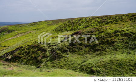 Moss and grass covering rolling hills in North York Moors National Park, UK 132655103