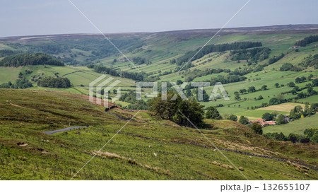 Scenic view of green valley in North York Moors National Park, UK Scenic view of green valley in North York Moors National Park, UK 132655107