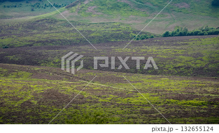 Scenic view of Hole of Horcum in North York Moors National Park, UK Scenic view of Hole of Horcum in North York Moors National Park, UK 132655124