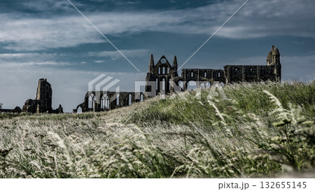 Whitby Abbey rising over North York Moors National Park in Yorkshire, England Whitby Abbey rising over North York Moors National Park in Yorkshire, England 132655145