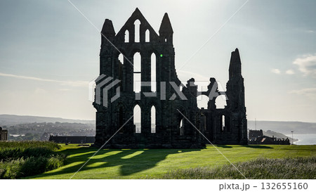 Whitby Abbey rising on a green hill in North York Moors National Park Whitby Abbey rising on a green hill in North York Moors National Park 132655160