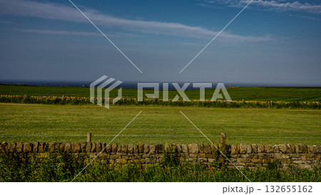 Green fields meeting the North Sea in North York Moors National Park near Whitby, UK Green fields meeting the North Sea in North York Moors National Park near Whitby, UK 132655162