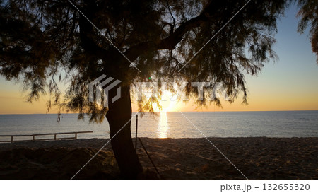 Mediterranean sunset over Tropea beach at golden hour with tree silhouette 132655320