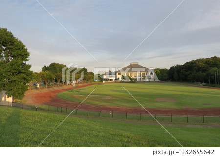 さいたま市岩槻文化公園の風景 132655642
