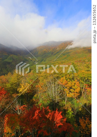 秋の白馬マウンテンハーバー（長野県白馬村・縦構図） 132655652