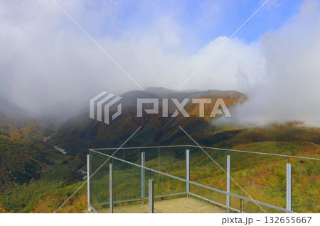 秋の白馬マウンテンハーバー(長野県白馬村) 秋の白馬マウンテンハーバー(長野県白馬村) 132655667