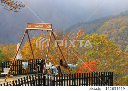 秋の白馬マウンテンハーバー（長野県白馬村） 132655669