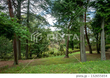 栃木県宇都宮市の八幡山公園 132655854