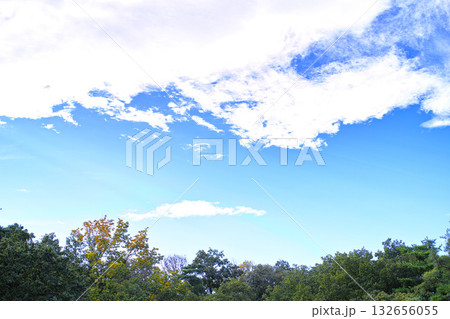 青空と雲イメージ 青空と雲イメージ 132656055