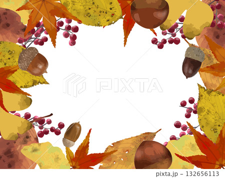 秋の落ち葉や木の実のフレーム 秋の落ち葉や木の実のフレーム 132656113
