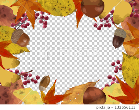 秋天落葉和堅果的框架 132656113