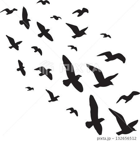 群れの鳥 132656512