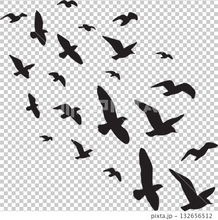 群れの鳥 132656512