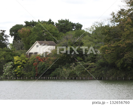 水辺の森に隠れる白い家:豊かな緑に囲まれた静かな佇まい 水辺の森に隠れる白い家:豊かな緑に囲まれた静かな佇まい 132656760