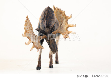 reindeer animal on isolated background 132656890