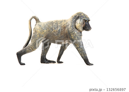 baboon animal on isolated background baboon animal on isolated background 132656897