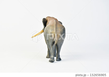 Stegodon animal on isolated background 132656905