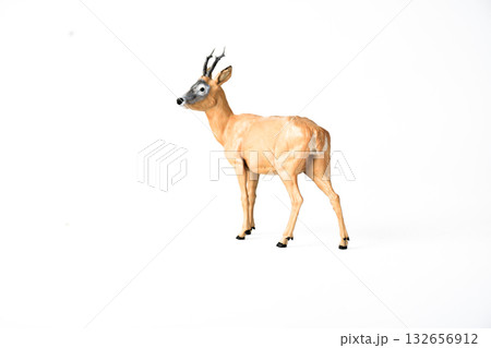 Roe Deer animal on isolated background 132656912