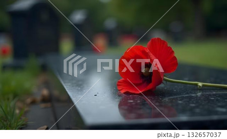 Single poppy lying on a memorial in September, evoking Patriot Day. American flag spirit in the background 132657037