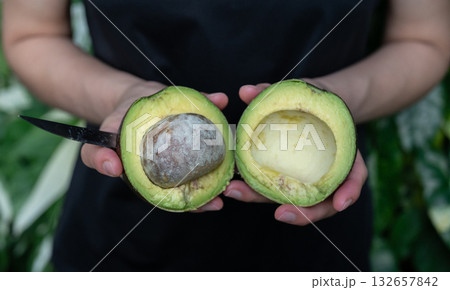 Cropped shot view of someone holding half of Avocado fruit. Avocado known for its heart-healthy monounsaturated fats, high fiber content, and rich, buttery texture. Cropped shot view of someone holding half of Avocado fruit. Avocado known for its heart-healthy monounsaturated fats, high fiber content, and rich, buttery texture. 132657842