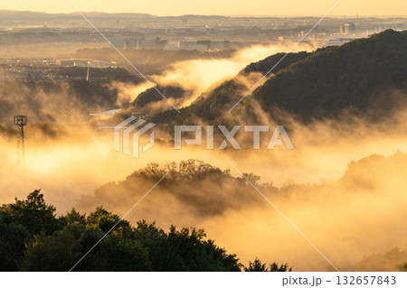 《神奈川県》朝靄の都市風景 132657843