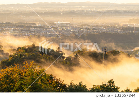 《神奈川県》朝靄の都市風景 132657844