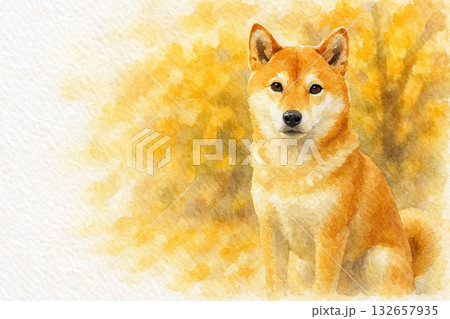 秋色の光に包まれた赤柴のポートレート 132657935