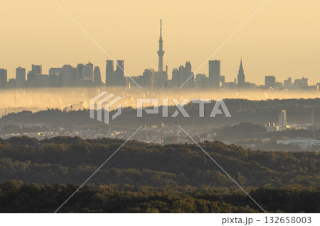 《東京都》朝靄の都市風景 132658003