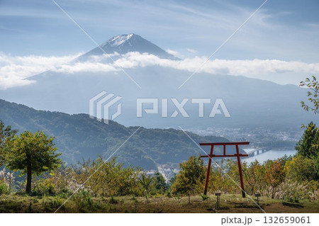 河口浅間神社　鳥居と富士山 132659061