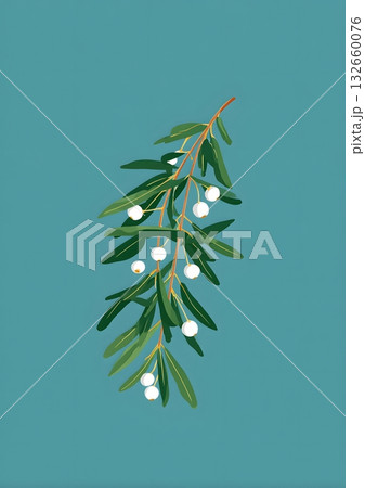 minimal mistletoe branch design flat vector minimal mistletoe branch design flat vector 132660076