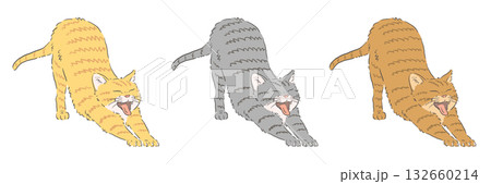 のびをするトラ猫のイラストのセット（茶トラ・サバトラ・キジトラ） 132660214