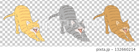 A set of illustrations of stretching tabby cats (brown tabby, mackerel tabby, and calico tabby) 132660214