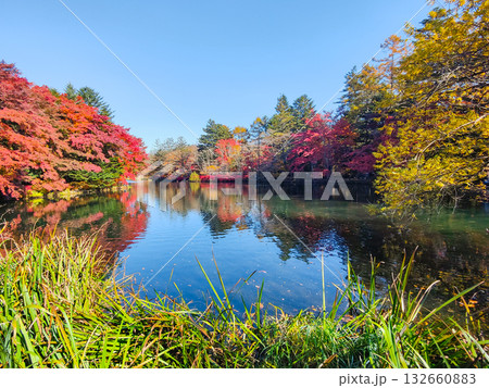 雲場池（秋） 132660883