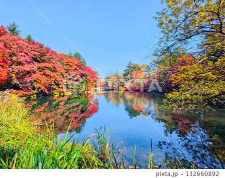 雲場池(秋) 雲場池(秋) 132660892