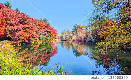 雲場池(秋) 雲場池(秋) 132660899