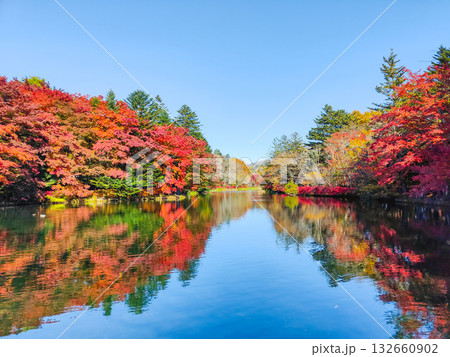 雲場池(秋) 雲場池(秋) 132660902