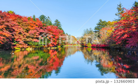 雲場池(秋) 雲場池(秋) 132660903