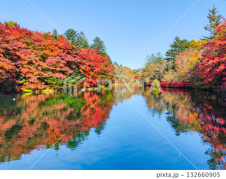 雲場池（秋） 132660905