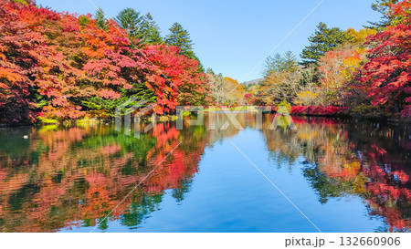 雲場池（秋） 132660906