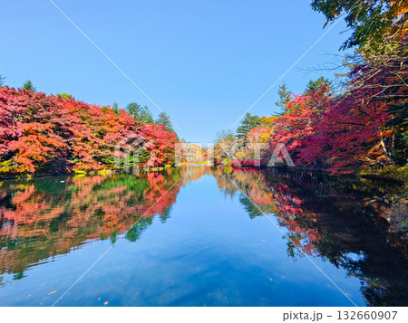 雲場池(秋) 雲場池(秋) 132660907