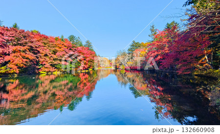 雲場池（秋） 132660908